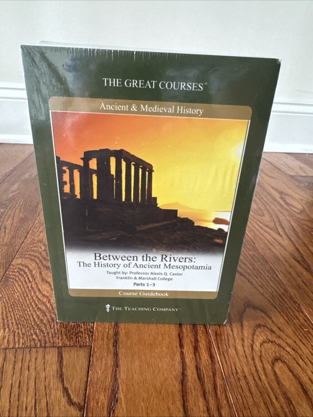 NEW The Great Courses Between‎ the Rivers Ancient Mesopotamia 3 DVDs Course Book